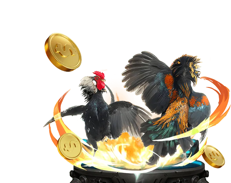 Các loại hình đá gà tại 7ball game